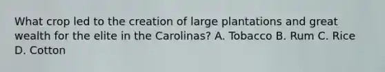 What crop led to the creation of large plantations and great wealth for the elite in the Carolinas? A. Tobacco B. Rum C. Rice D. Cotton