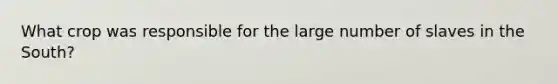 What crop was responsible for the large number of slaves in the South?