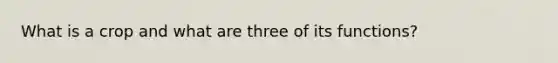 What is a crop and what are three of its functions?