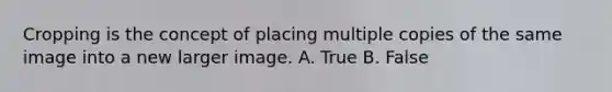 Cropping is the concept of placing multiple copies of the same image into a new larger image. A. True B. False