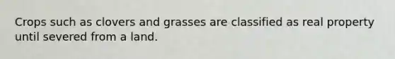 Crops such as clovers and grasses are classified as real property until severed from a land.