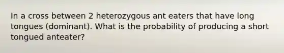 In a cross between 2 heterozygous ant eaters that have long tongues (dominant). What is the probability of producing a short tongued anteater?