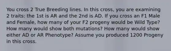 You cross 2 True Breeding lines. In this cross, you are examining 2 traits: the 1st is AR and the 2nd is AD. If you cross an F1 Male and Female, how many of your F2 progeny would be Wild Type? How many would show both mutations? How many would show either AD or AR Phenotype? Assume you produced 1200 Progeny in this cross.