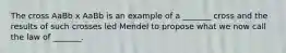 The cross AaBb x AaBb is an example of a _______ cross and the results of such crosses led Mendel to propose what we now call the law of _______.