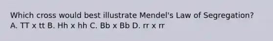 Which cross would best illustrate Mendel's Law of Segregation? A. TT x tt B. Hh x hh C. Bb x Bb D. rr x rr