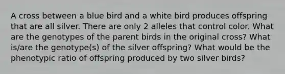 A cross between a blue bird and a white bird produces offspring that are all silver. There are only 2 alleles that control color. What are the genotypes of the parent birds in the original cross? What is/are the genotype(s) of the silver offspring? What would be the phenotypic ratio of offspring produced by two silver birds?