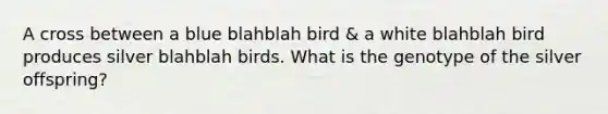 A cross between a blue blahblah bird & a white blahblah bird produces silver blahblah birds. What is the genotype of the silver offspring?