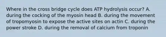 Where in the cross bridge cycle does ATP hydrolysis occur? A. during the cocking of the myosin head B. during the movement of tropomyosin to expose the active sites on actin C. during the power stroke D. during the removal of calcium from troponin