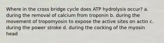 Where in the cross bridge cycle does ATP hydrolysis occur? a. during the removal of calcium from troponin b. during the movement of tropomyosin to expose the active sites on actin c. during the power stroke d. during the cocking of the myosin head