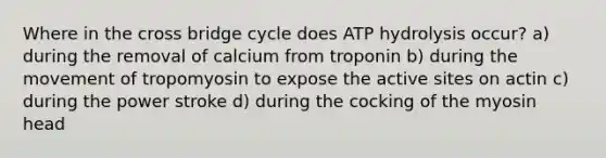 Where in the cross bridge cycle does ATP hydrolysis occur? a) during the removal of calcium from troponin b) during the movement of tropomyosin to expose the active sites on actin c) during the power stroke d) during the cocking of the myosin head