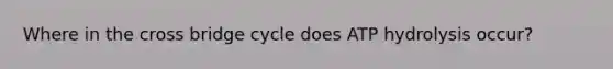 Where in the cross bridge cycle does ATP hydrolysis occur?