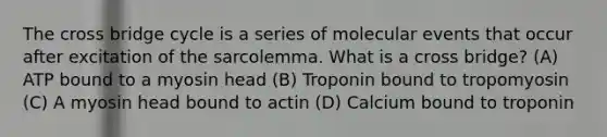 The cross bridge cycle is a series of molecular events that occur after excitation of the sarcolemma. What is a cross bridge? (A) ATP bound to a myosin head (B) Troponin bound to tropomyosin (C) A myosin head bound to actin (D) Calcium bound to troponin