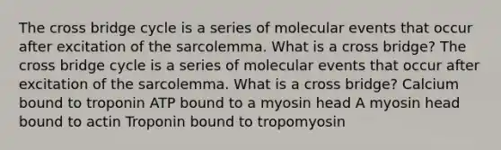 The cross bridge cycle is a series of molecular events that occur after excitation of the sarcolemma. What is a cross bridge? The cross bridge cycle is a series of molecular events that occur after excitation of the sarcolemma. What is a cross bridge? Calcium bound to troponin ATP bound to a myosin head A myosin head bound to actin Troponin bound to tropomyosin