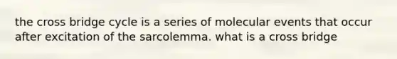 the cross bridge cycle is a series of molecular events that occur after excitation of the sarcolemma. what is a cross bridge