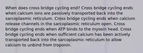 When does cross bridge cycling end? Cross bridge cycling ends when calcium ions are passively transported back into the sarcoplasmic reticulum. Cross bridge cycling ends when calcium release channels in the sarcoplasmic reticulum open. Cross bridge cycling ends when ATP binds to the myosin head. Cross bridge cycling ends when sufficient calcium has been actively transported back into the sarcoplasmic reticulum to allow calcium to unbind from troponin.