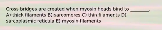 Cross bridges are created when myosin heads bind to ________. A) thick filaments B) sarcomeres C) thin filaments D) sarcoplasmic reticula E) myosin filaments