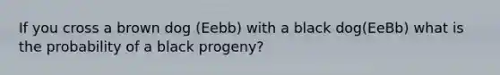 If you cross a brown dog (Eebb) with a black dog(EeBb) what is the probability of a black progeny?