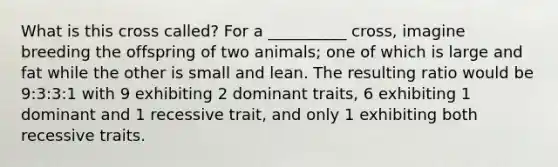 What is this cross called? For a __________ cross, imagine breeding the offspring of two animals; one of which is large and fat while the other is small and lean. The resulting ratio would be 9:3:3:1 with 9 exhibiting 2 dominant traits, 6 exhibiting 1 dominant and 1 recessive trait, and only 1 exhibiting both recessive traits.