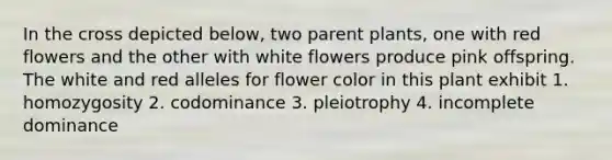 In the cross depicted below, two parent plants, one with red flowers and the other with white flowers produce pink offspring. The white and red alleles for flower color in this plant exhibit 1. homozygosity 2. codominance 3. pleiotrophy 4. incomplete dominance