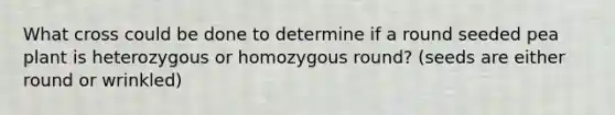What cross could be done to determine if a round seeded pea plant is heterozygous or homozygous round? (seeds are either round or wrinkled)