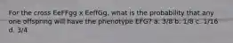 For the cross EeFFgg x EeffGg, what is the probability that any one offspring will have the phenotype EFG? a. 3/8 b. 1/8 c. 1/16 d. 3/4