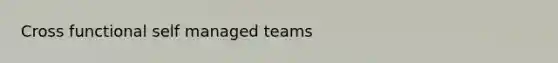 Cross functional self managed teams