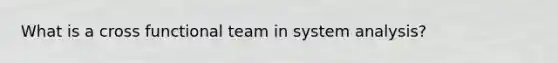 What is a cross functional team in system analysis?