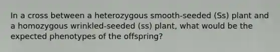 In a cross between a heterozygous smooth-seeded (Ss) plant and a homozygous wrinkled-seeded (ss) plant, what would be the expected phenotypes of the offspring?