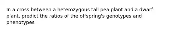 In a cross between a heterozygous tall pea plant and a dwarf plant, predict the ratios of the offspring's genotypes and phenotypes