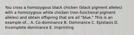 You cross a homozygous black chicken (black pigment alleles) with a homozygous white chicken (non-functional pigment alleles) and obtain offspring that are all "blue." This is an example of... A. Co-dominance B. Dominance C. Epistasis D. Incomplete dominance E. Imprinting