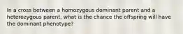 In a cross between a homozygous dominant parent and a heterozygous parent, what is the chance the offspring will have the dominant phenotype?