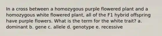 In a cross between a homozygous purple flowered plant and a homozygous white flowered plant, all of the F1 hybrid offspring have purple flowers. What is the term for the white trait? a. dominant b. gene c. allele d. genotype e. recessive