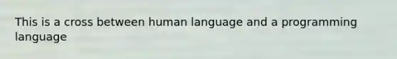 This is a cross between human language and a programming language