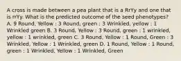 A cross is made between a pea plant that is a RrYy and one that is rrYy. What is the predicted outcome of the seed phenotypes? A. 9 Round, Yellow : 3 Round, green : 3 Wrinkled, yellow : 1 Wrinkled green B. 3 Round, Yellow : 3 Round, green : 1 wrinkled, yellow : 1 wrinkled, green C. 3 Round, Yellow : 1 Round, Green : 3 Wrinkled, Yellow : 1 Wrinkled, green D. 1 Round, Yellow : 1 Round, green : 1 Wrinkled, Yellow : 1 Wrinkled, Green