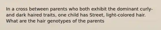 In a cross between parents who both exhibit the dominant curly-and dark haired traits, one child has Street, light-colored hair. What are the hair genotypes of the parents