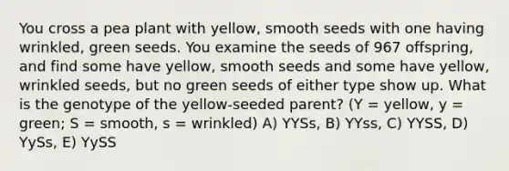 You cross a pea plant with yellow, smooth seeds with one having wrinkled, green seeds. You examine the seeds of 967 offspring, and find some have yellow, smooth seeds and some have yellow, wrinkled seeds, but no green seeds of either type show up. What is the genotype of the yellow-seeded parent? (Y = yellow, y = green; S = smooth, s = wrinkled) A) YYSs, B) YYss, C) YYSS, D) YySs, E) YySS