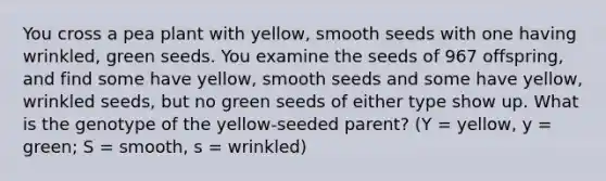 You cross a pea plant with yellow, smooth seeds with one having wrinkled, green seeds. You examine the seeds of 967 offspring, and find some have yellow, smooth seeds and some have yellow, wrinkled seeds, but no green seeds of either type show up. What is the genotype of the yellow-seeded parent? (Y = yellow, y = green; S = smooth, s = wrinkled)