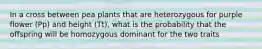 In a cross between pea plants that are heterozygous for purple flower (Pp) and height (Tt), what is the probability that the offspring will be homozygous dominant for the two traits