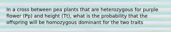 In a cross between pea plants that are heterozygous for purple flower (Pp) and height (Tt), what is the probability that the offspring will be homozygous dominant for the two traits