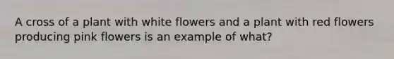 A cross of a plant with white flowers and a plant with red flowers producing pink flowers is an example of what?