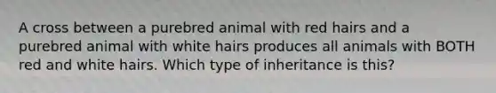 A cross between a purebred animal with red hairs and a purebred animal with white hairs produces all animals with BOTH red and white hairs. Which type of inheritance is this?