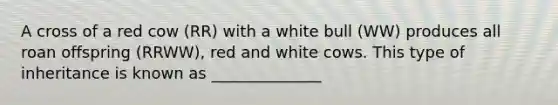 A cross of a red cow (RR) with a white bull (WW) produces all roan offspring (RRWW), red and white cows. This type of inheritance is known as ______________