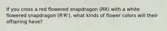 If you cross a red flowered snapdragon (RR) with a white flowered snapdragon (R'R'), what kinds of flower colors will their offspring have?