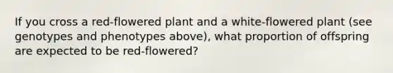 If you cross a red-flowered plant and a white-flowered plant (see genotypes and phenotypes above), what proportion of offspring are expected to be red-flowered?