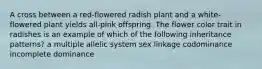 A cross between a red-flowered radish plant and a white-flowered plant yields all-pink offspring. The flower color trait in radishes is an example of which of the following inheritance patterns? a multiple allelic system sex linkage codominance incomplete dominance