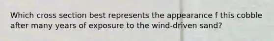 Which cross section best represents the appearance f this cobble after many years of exposure to the wind-driven sand?