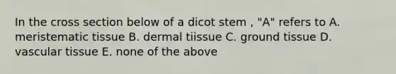 In the cross section below of a dicot stem , "A" refers to A. meristematic tissue B. dermal tiissue C. ground tissue D. vascular tissue E. none of the above