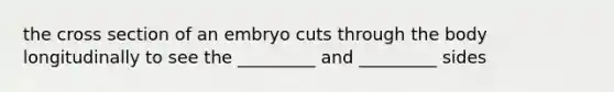 the cross section of an embryo cuts through the body longitudinally to see the _________ and _________ sides