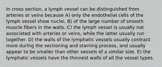 In cross section, a lymph vessel can be distinguished from arteries or veins because A) only the endothelial cells of the lymph vessel show nuclei. B) of the large number of smooth muscle fibers in the walls. C) the lymph vessel is usually not associated with arteries or veins, while the latter usually run together. D) the walls of the lymphatic vessels usually contract more during the sectioning and staining process, and usually appear to be smaller than other vessels of a similar size. E) the lymphatic vessels have the thinnest walls of all the vessel types.