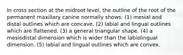In cross section at the midroot level, the outline of the root of the permanent maxillary canine normally shows: (1) mesial and distal outlines which are concave. (2) labial and lingual outlines which are flattened. (3) a general triangular shape. (4) a mesiodistal dimension which is wider than the labiolingual dimension. (5) labial and lingual outlines which are convex.
